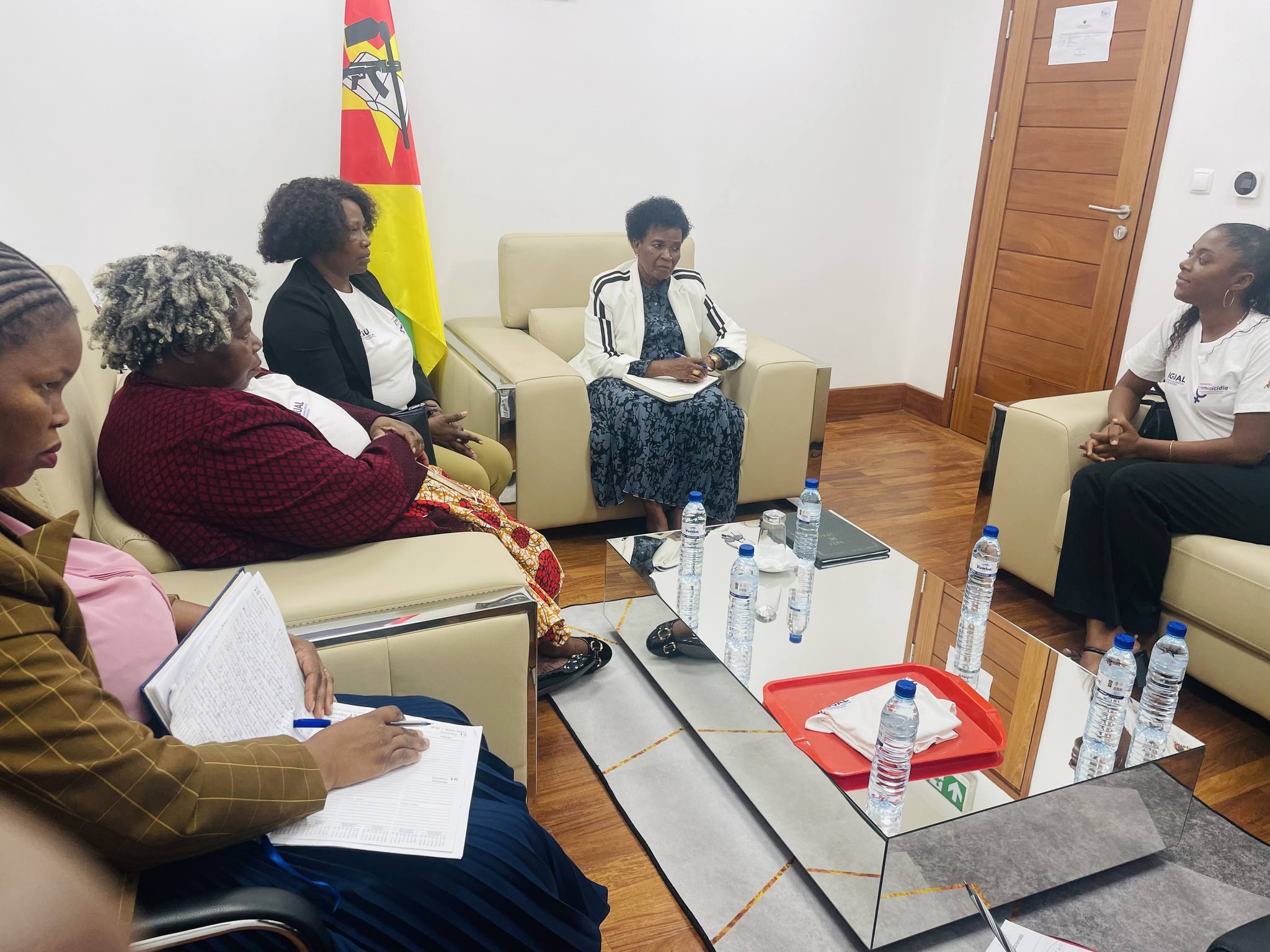 Encontro entre Observatório de Feminicídio e Assembleia Provincial para Advocacia da Revisão da Lei de VBG